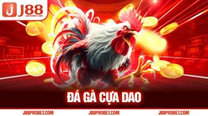 Đá gà cựa dao J88