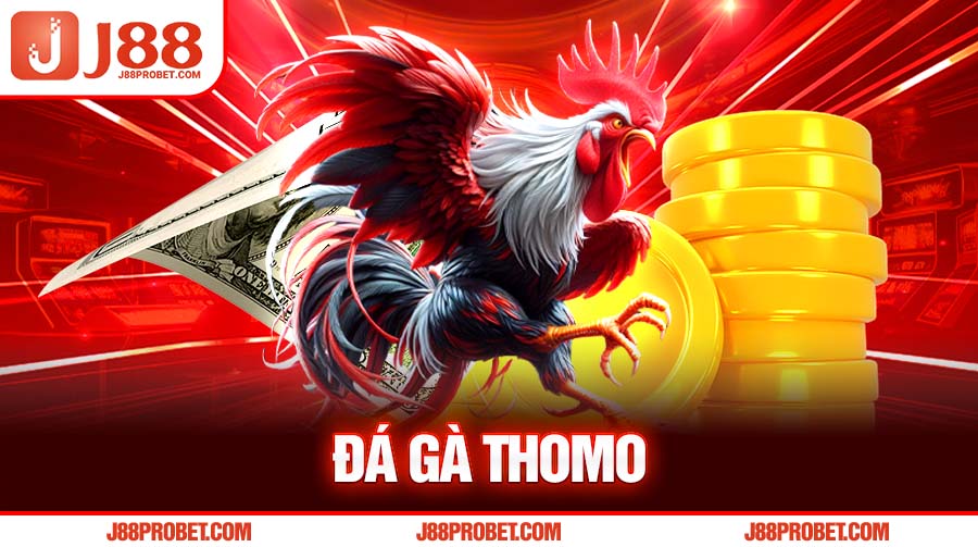 Đá gà Thomo J88