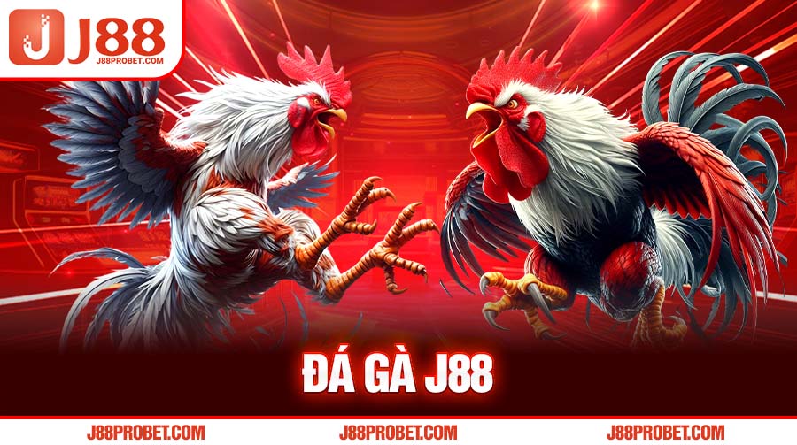 Đá gà J88